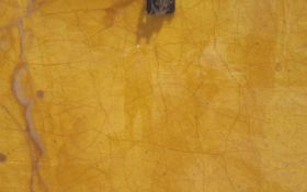 Amber Onyx (Light)