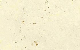 White Travertine Cross Cut (AT)